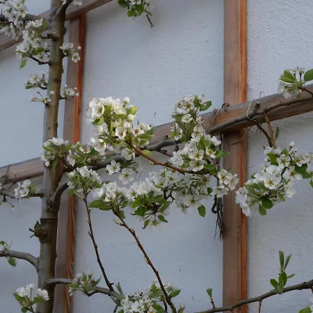 Ecologie Apart-hotel Grundlsee