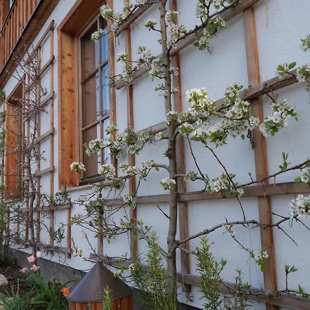 Apart-hotel Ecologie