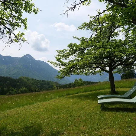 アパートホテル Ecologie