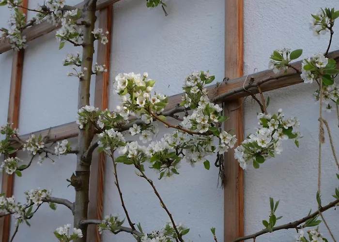 Ecologie Апарт-отель Грундльзее